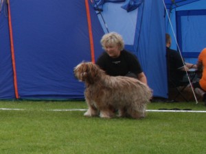 IMG_6377