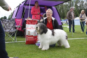 IMG_6383